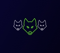 blog coyote